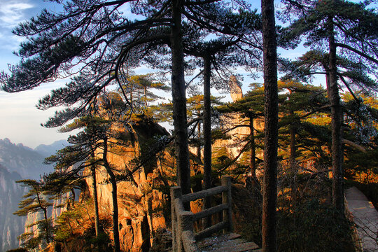 黄山松黄山山峦