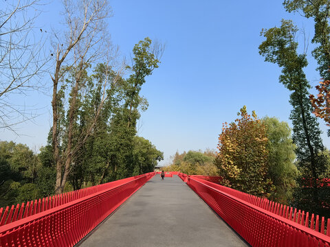 美丽中国嘉兴南湖网红桥