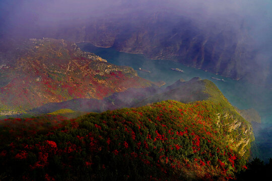 巫峡晨雾红叶