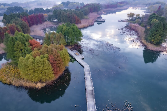 苏州虎丘湿地公园