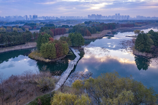 苏州虎丘湿地公园