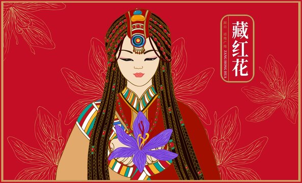 藏红花包装插画