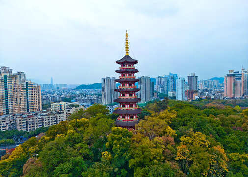 温州九山公园净光塔