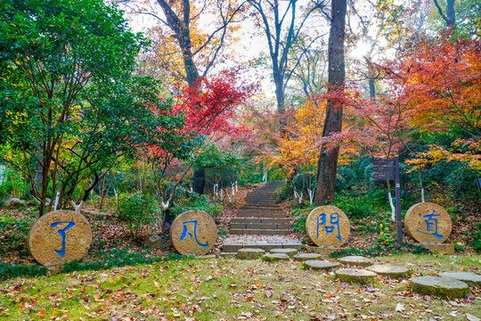 南京栖霞山了凡问道