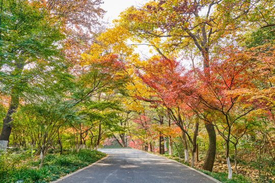 南京栖霞山景观路