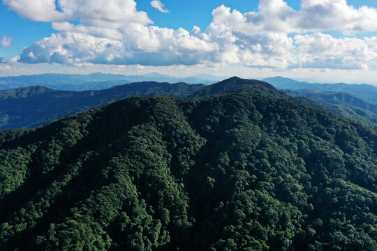 高黎贡山风光