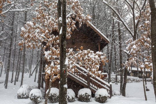 冬日雪屋