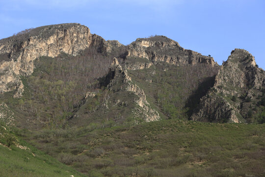 大青山