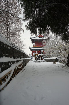 荆州古城雪景