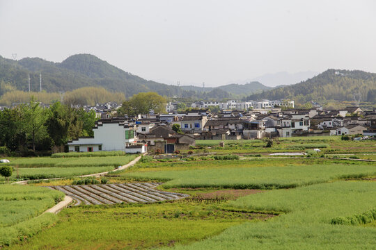 春日皖南