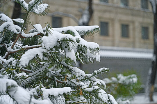 北京第一场雪