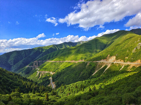 大山天路