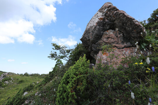 高原分水岭