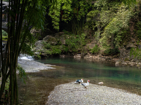 湖北宜昌三峡人家风景区