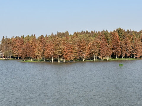 上海青西郊野公园