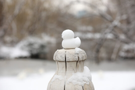 雪景一只小鸭子雪人雪后的湖面