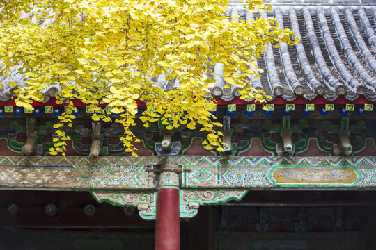 秋染古建