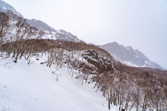 长白山北景区