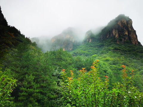 山峰