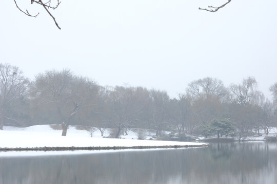 北京奥森雪景