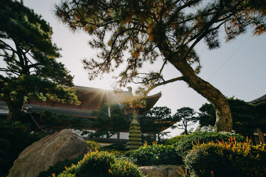 宁海广德寺