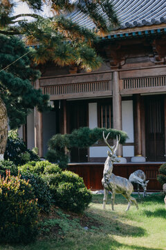 宁海广德寺