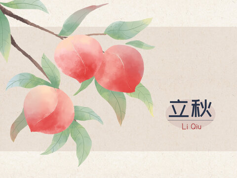 国风手绘二十四节气立秋桃子