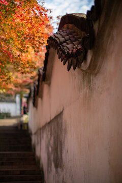 虎丘风景区