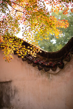 虎丘风景区