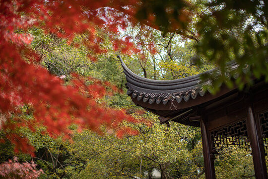 虎丘风景区