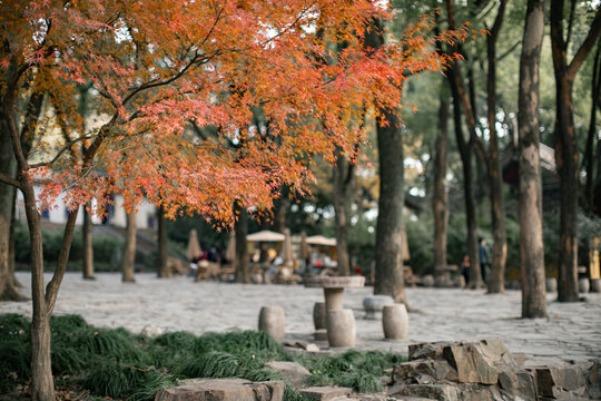 虎丘风景区