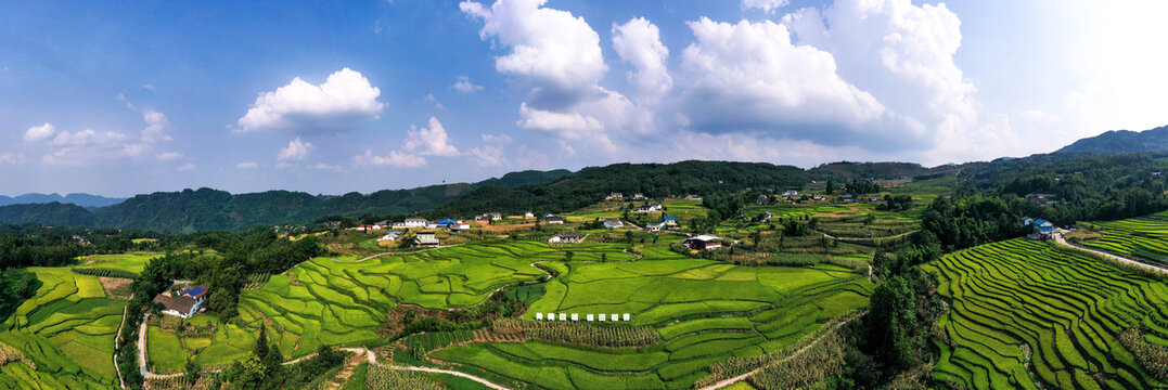 四峨山梯田