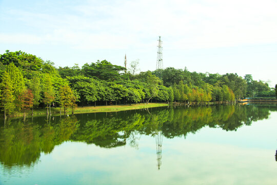 广州植物园