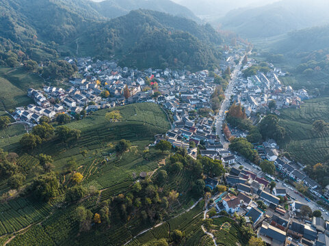 杭州梅家坞村