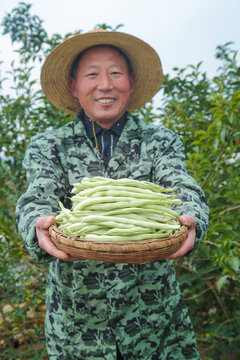 新鲜采摘的白芸豆角