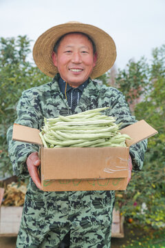 新鲜采摘的白芸豆角