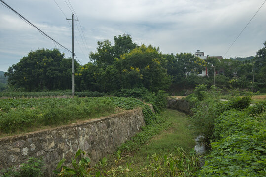 排水沟