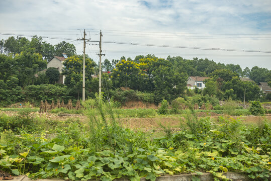 宜都市何阳店村田园风光