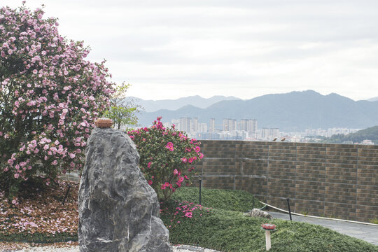 龙泉寺内景小品