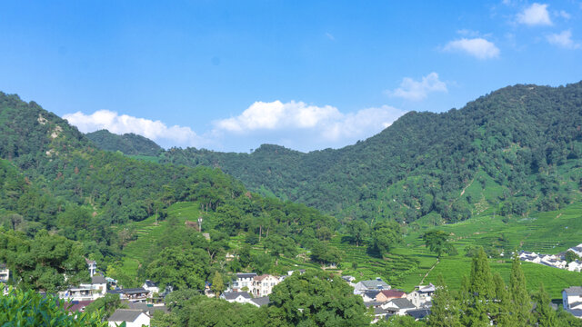 茶山田园自然风景