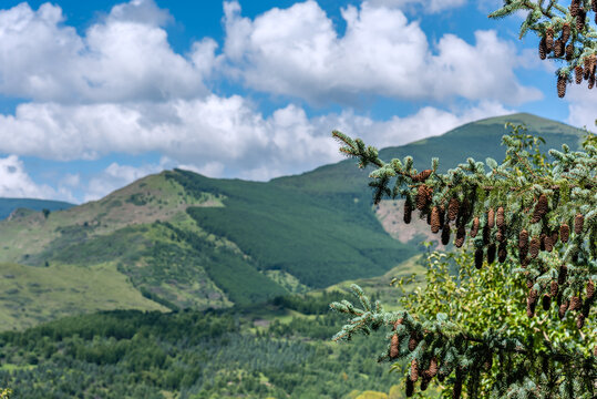 中国山西忻州五台山自然风光