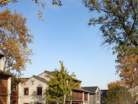 蓝天下的中式房屋和树木