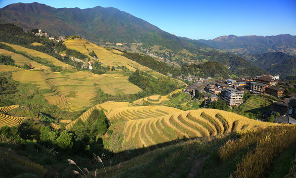 10月的龙胜梯田