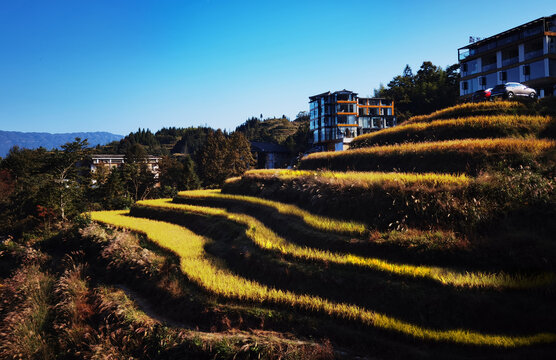 广西龙胜梯田