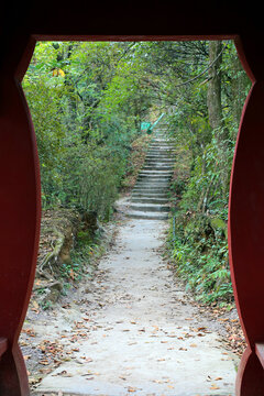 山间石阶道