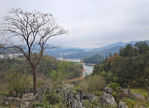 黄山洞天湾景区石林