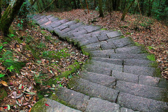 武夷山登山石板路