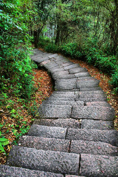 武夷山石板路