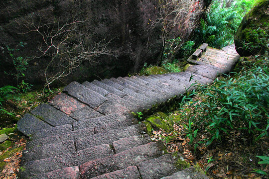 武夷山石板路林间小道