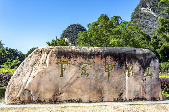 阳朔大榕树景区